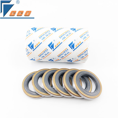 kopen Dubbele lip skelet oliekeerring FKM bestand tegen hoge temperaturen tot 250°C online manufacture
